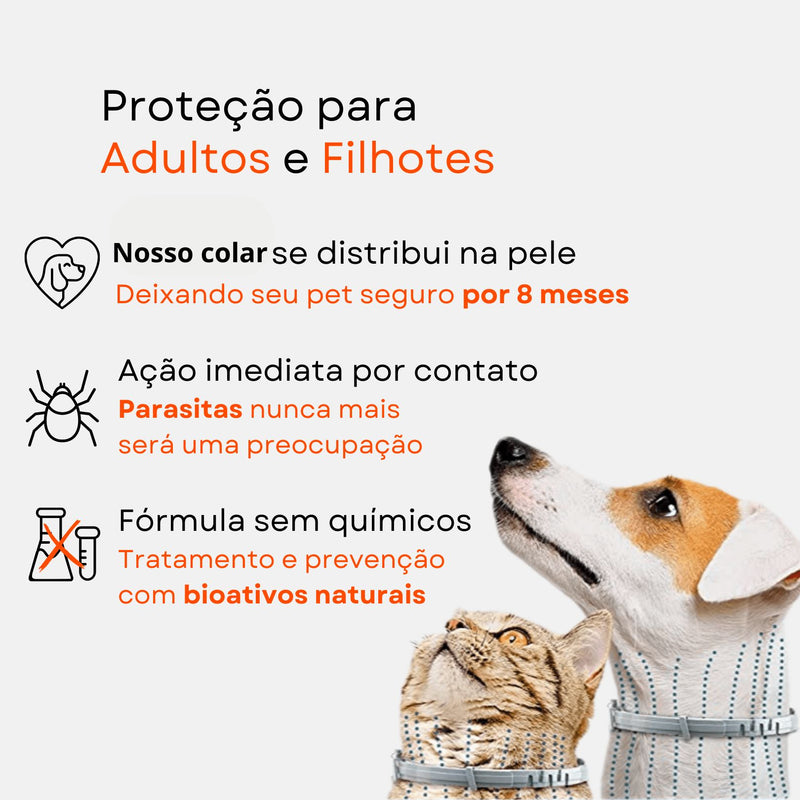 Colar Anti Pulgas e Carrapatos